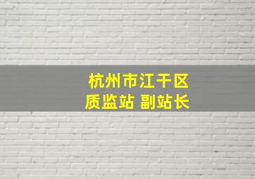 杭州市江干区质监站 副站长